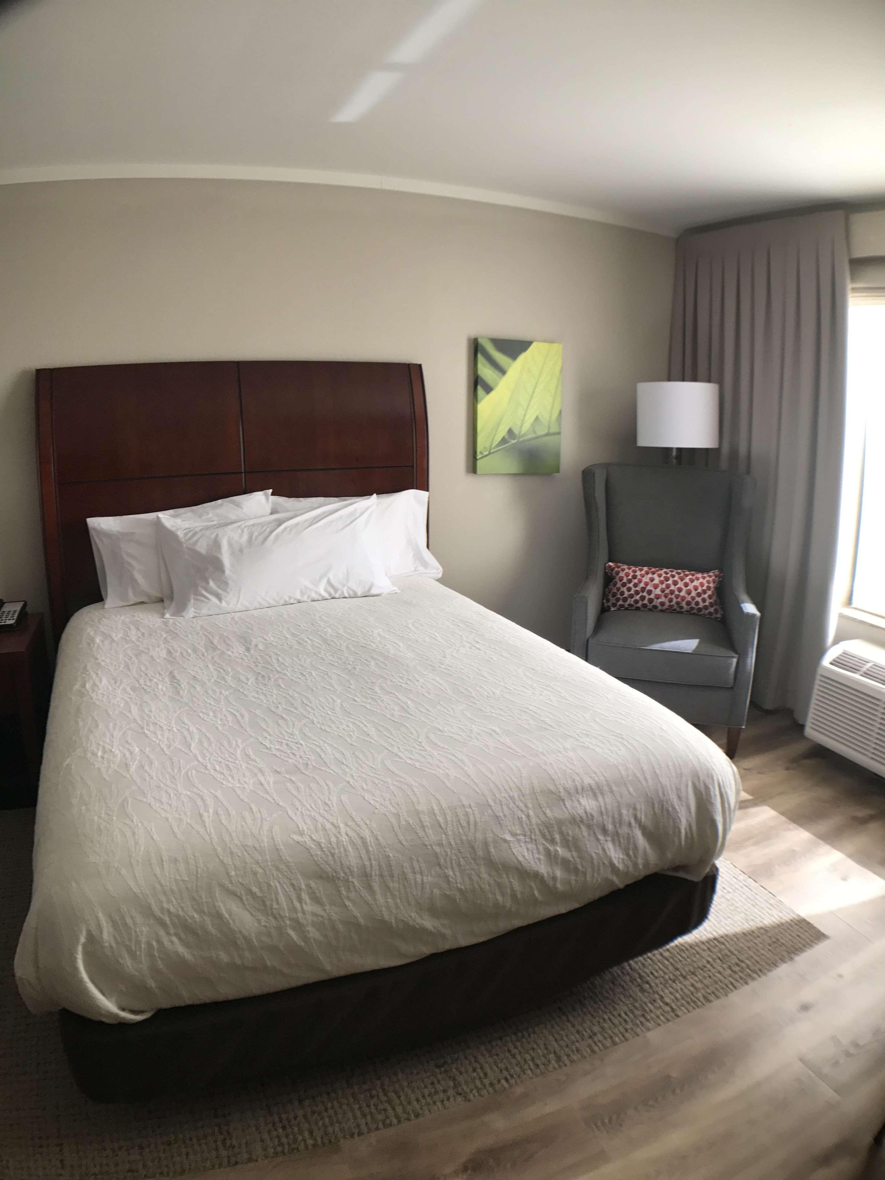 Hilton Garden Inn Bowling Green Ngoại thất bức ảnh